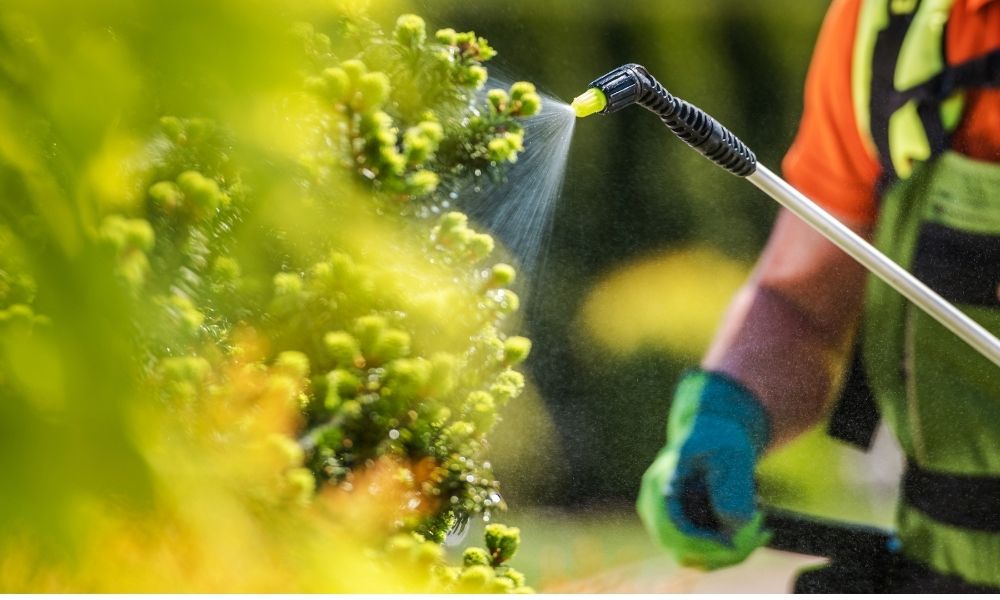 Foliar Fertilization: Benefits, Application Methods, and Precautions