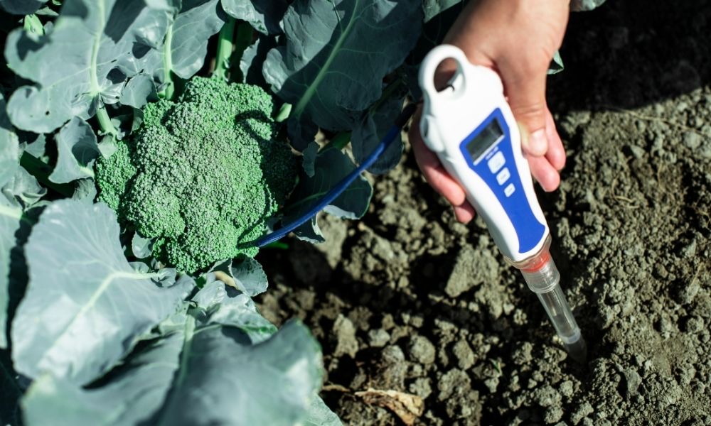 The Importance of Soil Testing and Result-Based Fertilizer Selection